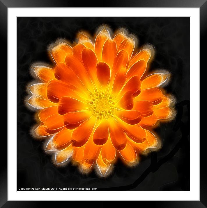 Orange Light Framed Mounted Print by Iain Mavin