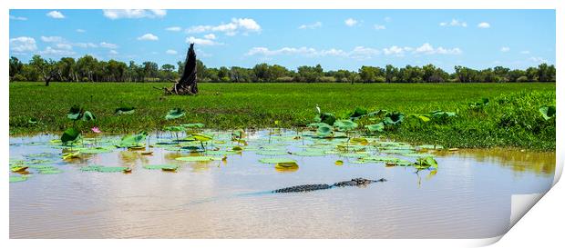 Kakadu Large Saltwater Crocodile Print by Antonio Ribeiro