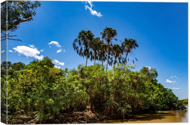 Kakadu Banks of the South Alligator River  Canvas Print by Antonio Ribeiro