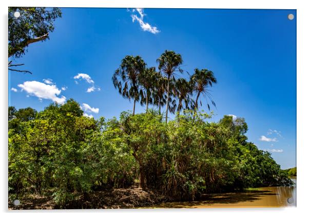 Kakadu Banks of the South Alligator River  Acrylic by Antonio Ribeiro
