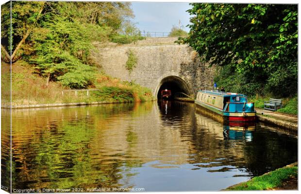 Chirk Canal Tunnel   Canvas Print by Diana Mower