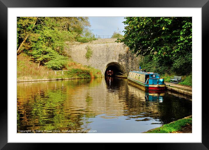 Chirk Canal Tunnel   Framed Mounted Print by Diana Mower