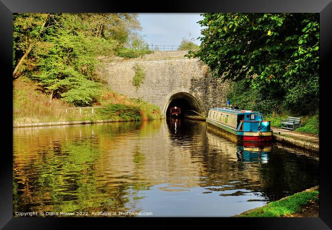 Chirk Canal Tunnel   Framed Print by Diana Mower