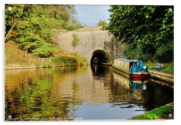 Chirk Canal Tunnel   Acrylic by Diana Mower
