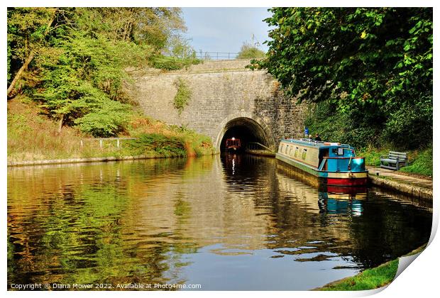 Chirk Canal Tunnel   Print by Diana Mower