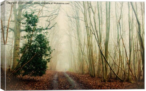 GHOST PATH Canvas Print by CATSPAWS 