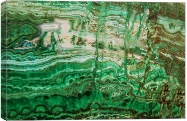 MINERAL BEAUTY - MALACHITE Canvas Print by CATSPAWS 