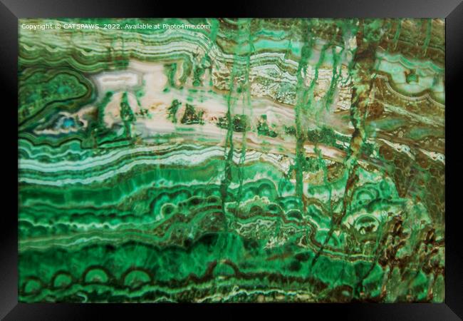 MINERAL BEAUTY - MALACHITE Framed Print by CATSPAWS 