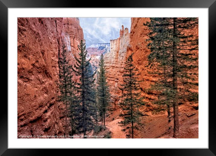 Navajo Trail Framed Mounted Print by Donna Kennedy