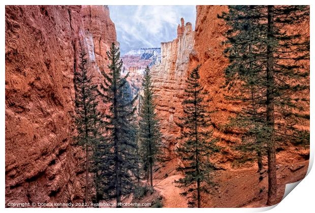 Navajo Trail Print by Donna Kennedy