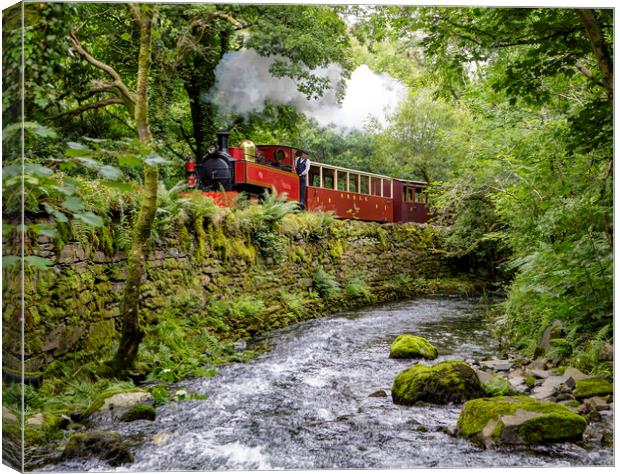 Welsh Highland Heritage Railway's Russell  Canvas Print by David Thurlow