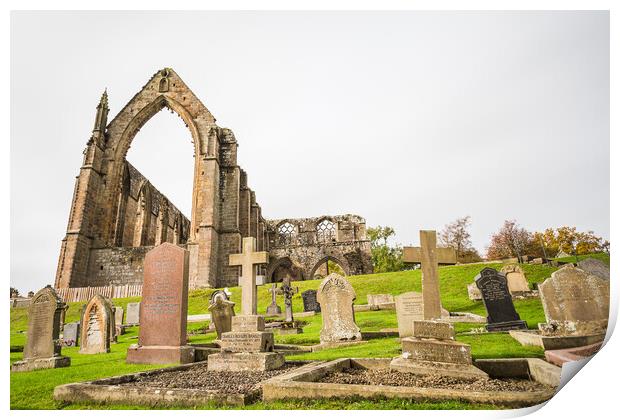 Graves in front of Bolton Abbey Print by Jason Wells