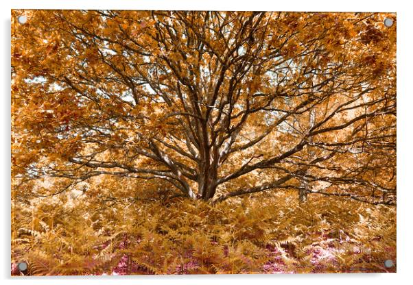 Grand Tree - Orange Acrylic by Adrian Burgess