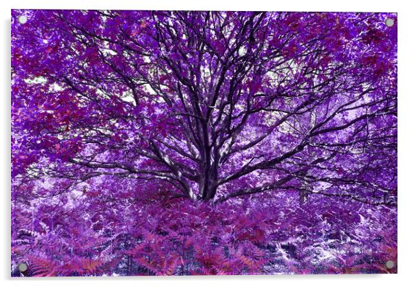 Grand Tree - Purple Acrylic by Adrian Burgess