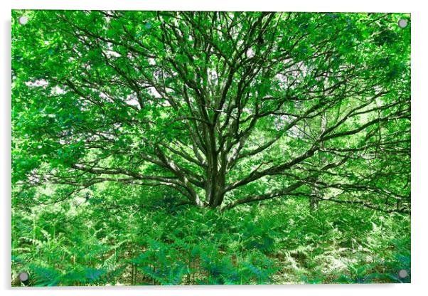 Grand Tree - Green Acrylic by Adrian Burgess