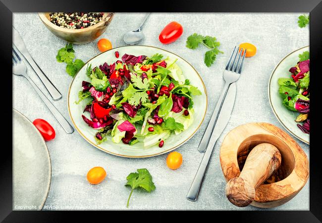 Salad of fresh vegetables and herbs. Framed Print by Mykola Lunov Mykola