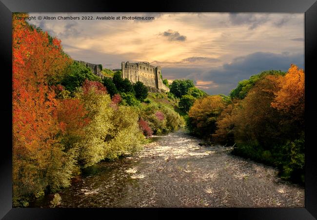 Richmond Castle in the Autumn  Framed Print by Alison Chambers