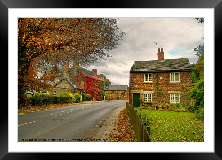 Wentworth Village Rotherham  Framed Mounted Print by Alison Chambers