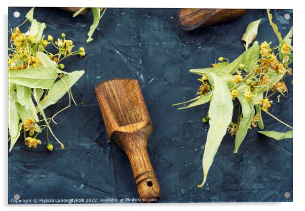 Dried linden blossoms, herbal medicine Acrylic by Mykola Lunov Mykola