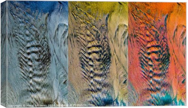 Abstract sediment texture with faces - Triptych Canvas Print by Hanif Setiawan