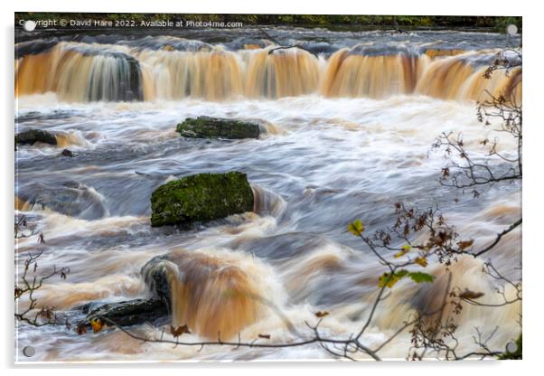 Aysgarth Falls Acrylic by David Hare