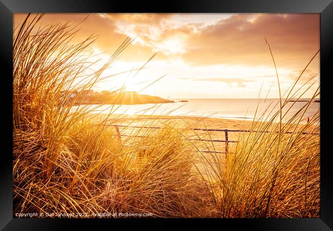 sanddunes at sunset  Framed Print by Gail Johnson