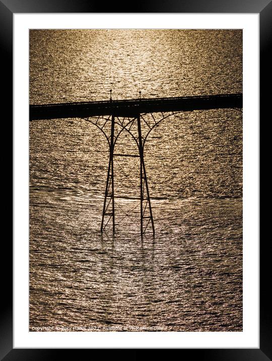 Clevedon Pier leg Framed Mounted Print by Rory Hailes