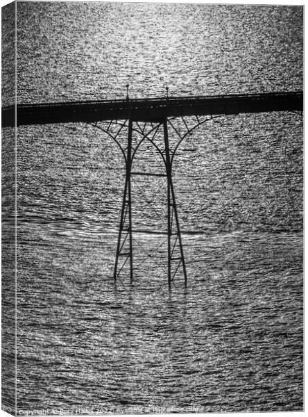 Black and white Clevedon Pier Canvas Print by Rory Hailes