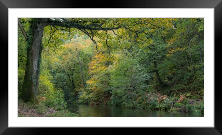Tranquil River Teign Framed Mounted Print by Jo Sowden