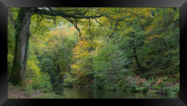 Tranquil River Teign Framed Print by Jo Sowden