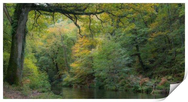 Tranquil River Teign Print by Jo Sowden