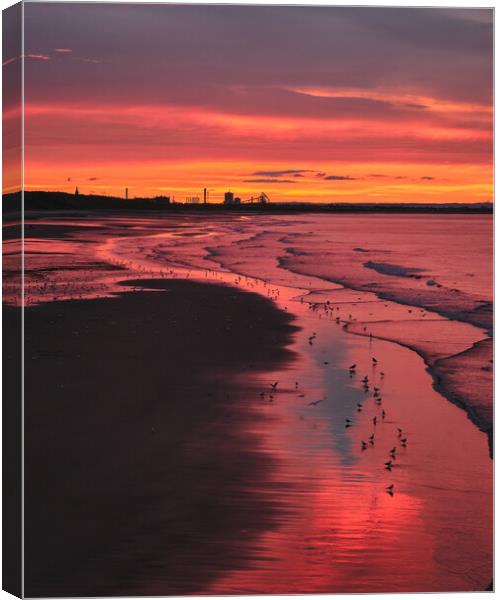 Sunset over Saltburn by the Sea Canvas Print by Dan Ward
