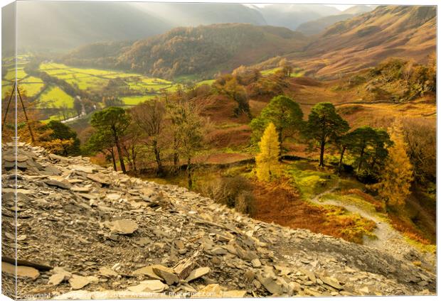 Misty autumnal Borrowdale  Canvas Print by Northern Wild