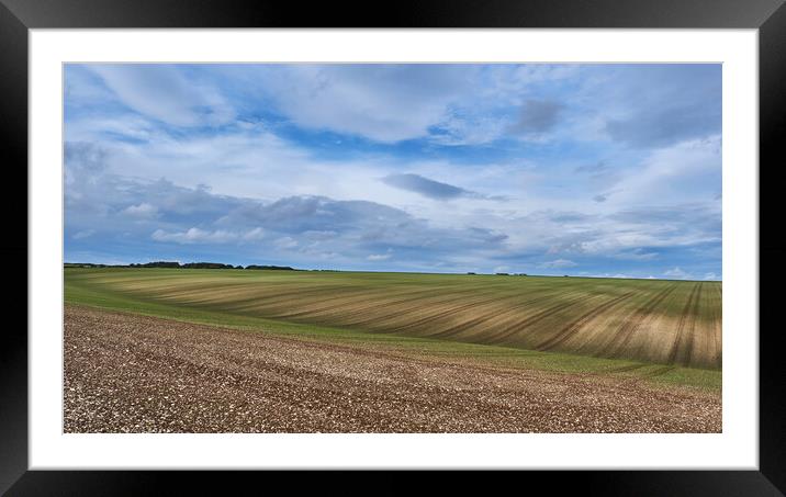 Yorkshire Wolds Framed Mounted Print by Dan Ward