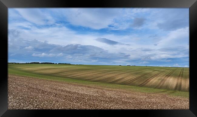 Yorkshire Wolds Framed Print by Dan Ward