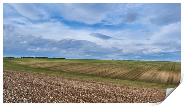 Yorkshire Wolds Print by Dan Ward