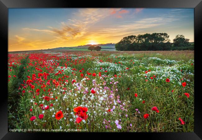 Arreton Poppies, Isle of Wight Framed Print by Jim Monk