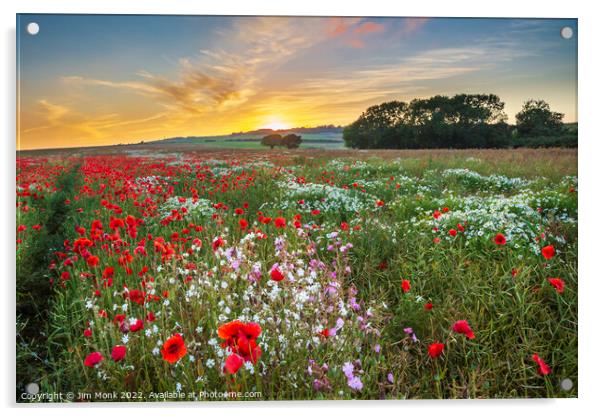 Arreton Poppies, Isle of Wight Acrylic by Jim Monk