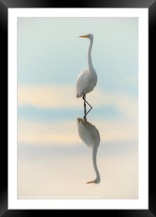 Elegant Egret Framed Mounted Print by Neil Edwards