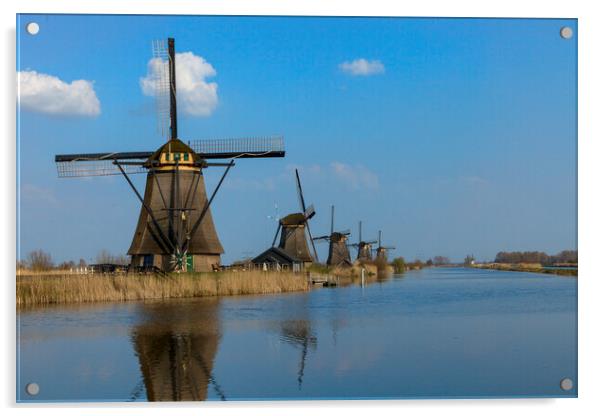 Kinderdijk Windmills Acrylic by James Buckle