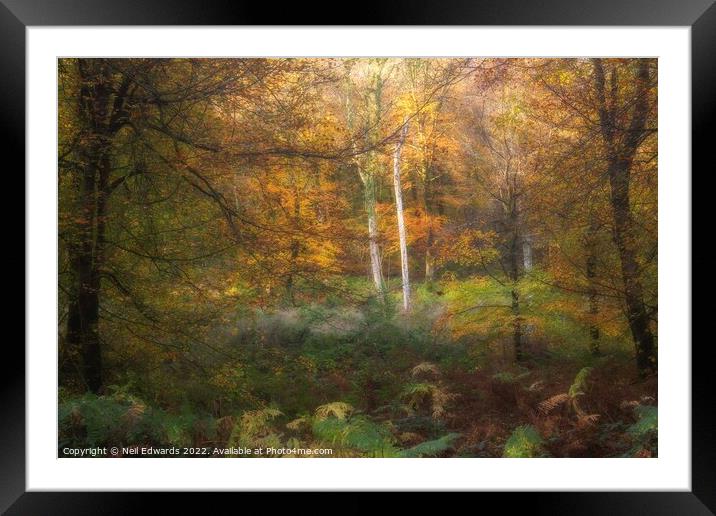 Autumn Light Framed Mounted Print by Neil Edwards