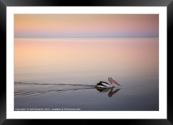 Blue Hour Pelican  Framed Mounted Print by Neil Edwards