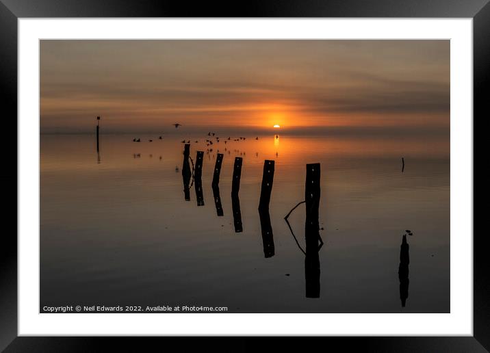 A new day Framed Mounted Print by Neil Edwards