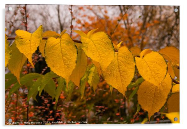 Autumn's Vibrant Hues Showcased Acrylic by Holly Burgess