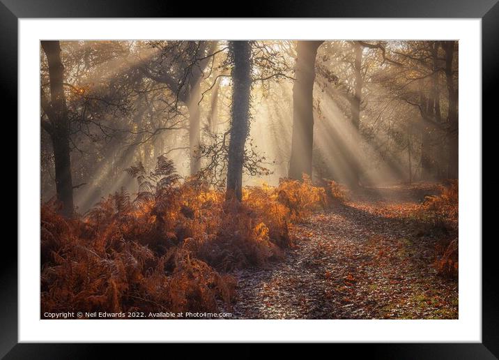 Rays of Light Framed Mounted Print by Neil Edwards