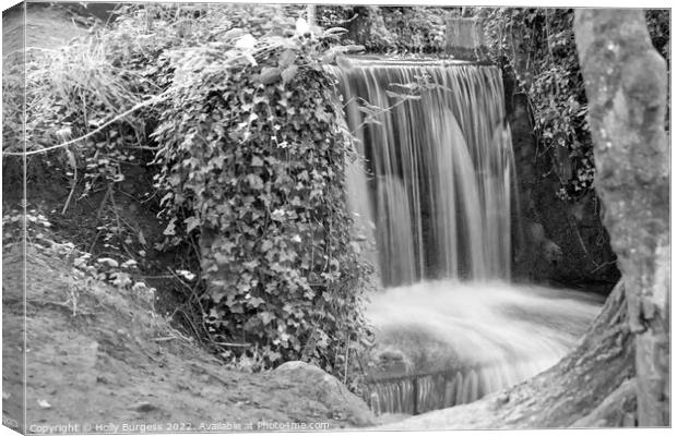 Monochrome Serenity: Newstead Abbey Waterfall Canvas Print by Holly Burgess
