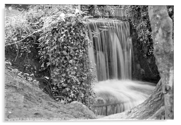 Monochrome Serenity: Newstead Abbey Waterfall Acrylic by Holly Burgess