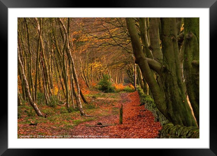 Autumn Beauty. Framed Mounted Print by 28sw photography