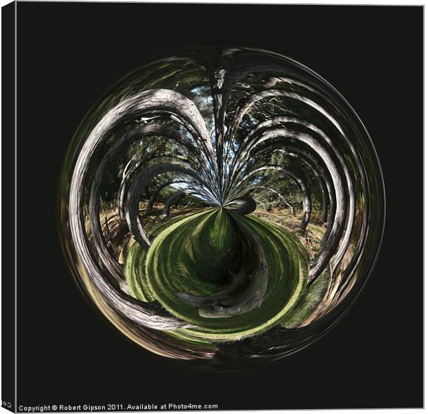 Spherical Paperweight tangled wood Canvas Print by Robert Gipson