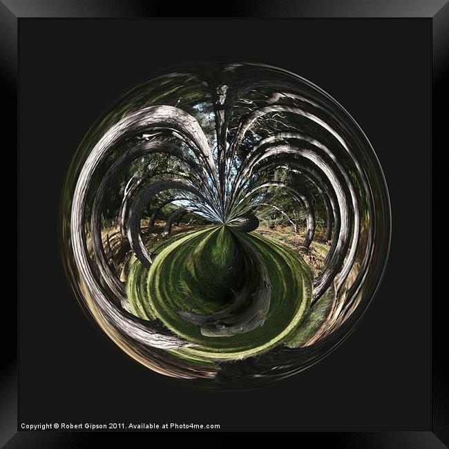 Spherical Paperweight tangled wood Framed Print by Robert Gipson